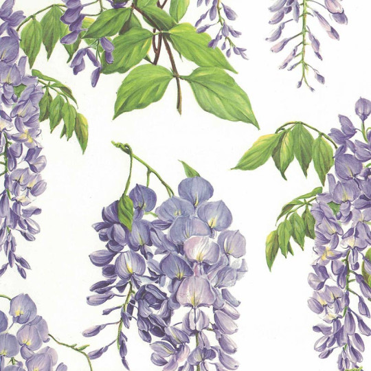Large Purple Wisteria Blossoms Floral Print Italian Paper ~ Tassotti
